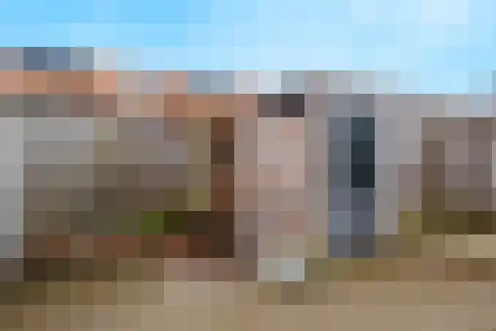 Stier 16 Elst thumbnail 35