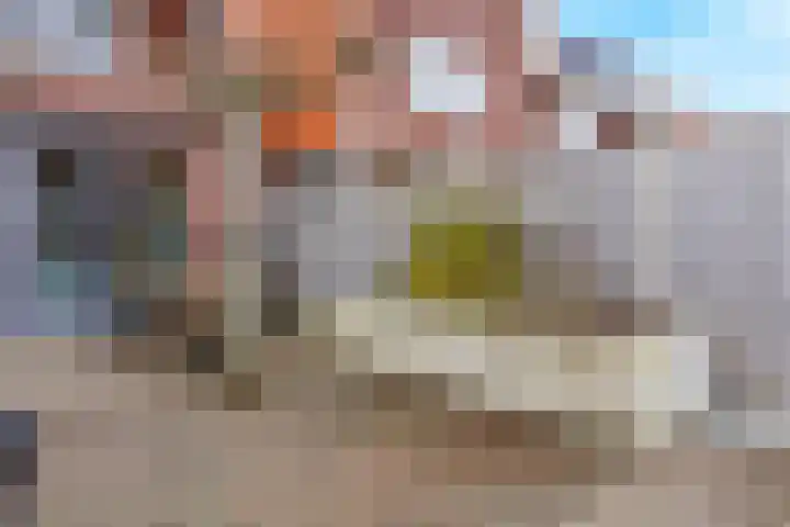 Stier 16 Elst thumbnail 36