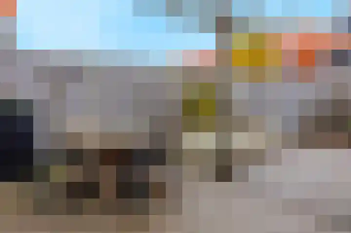 Stier 16 Elst thumbnail 37