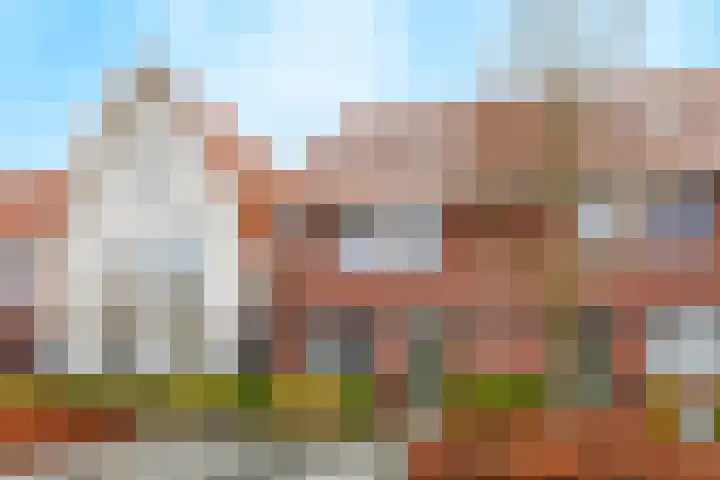 Stier 16 Elst thumbnail 38