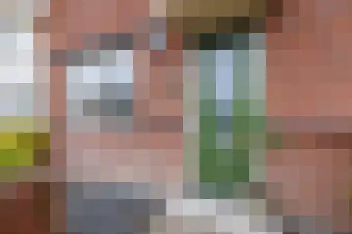 Stier 16 Elst thumbnail 4