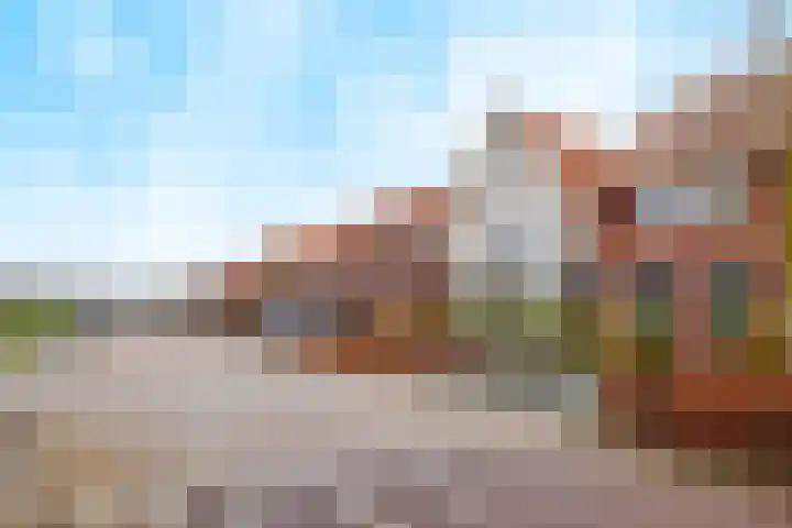 Stier 16 Elst thumbnail 40