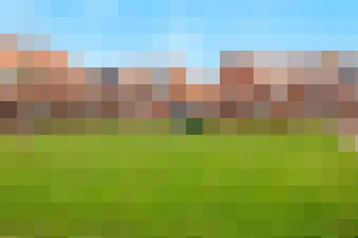 Stier 16 Elst thumbnail 41