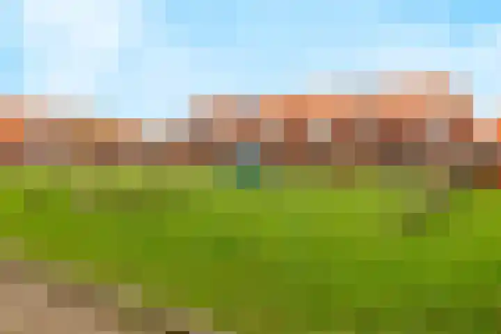 Stier 16 Elst thumbnail 42