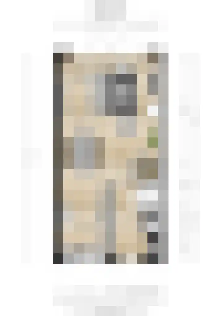 Stier 16 Elst thumbnail 43