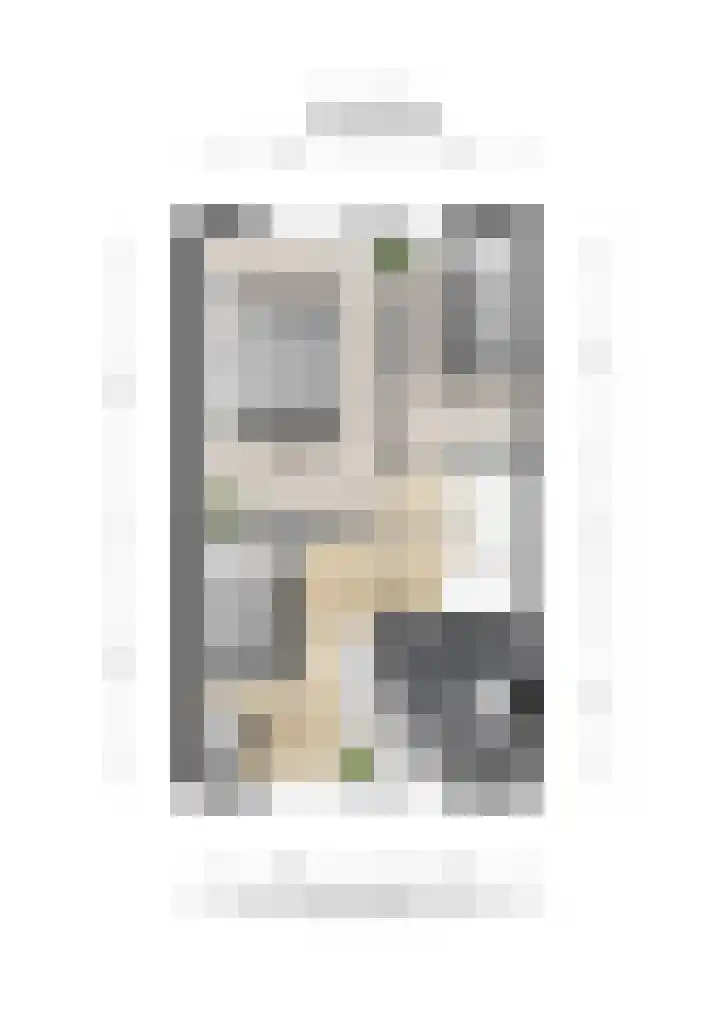 Stier 16 Elst thumbnail 44