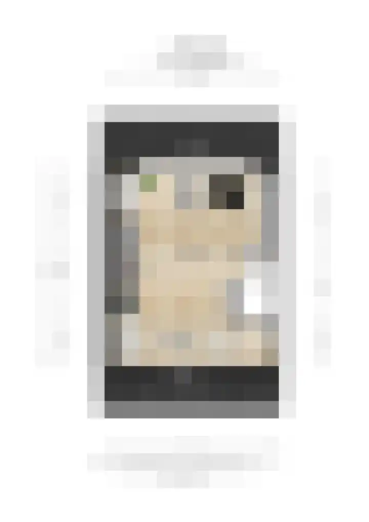 Stier 16 Elst thumbnail 45