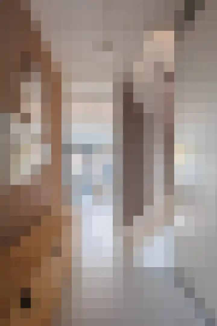Stier 16 Elst thumbnail 6