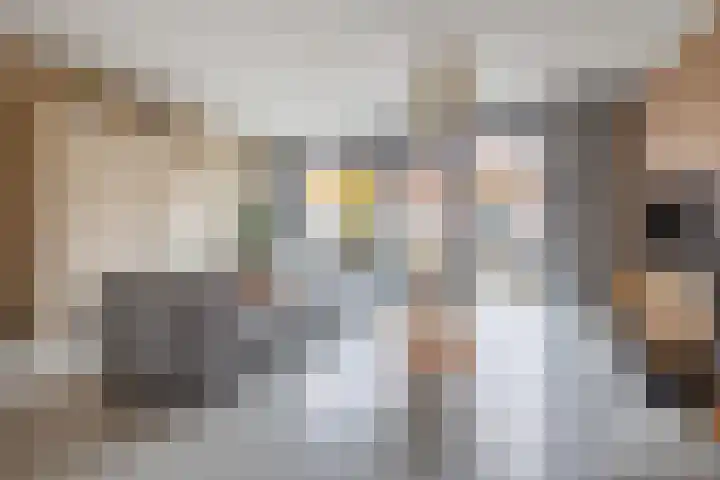 Stier 16 Elst thumbnail 7