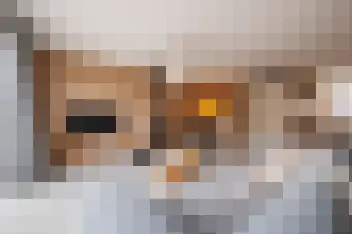 Stier 16 Elst thumbnail 9