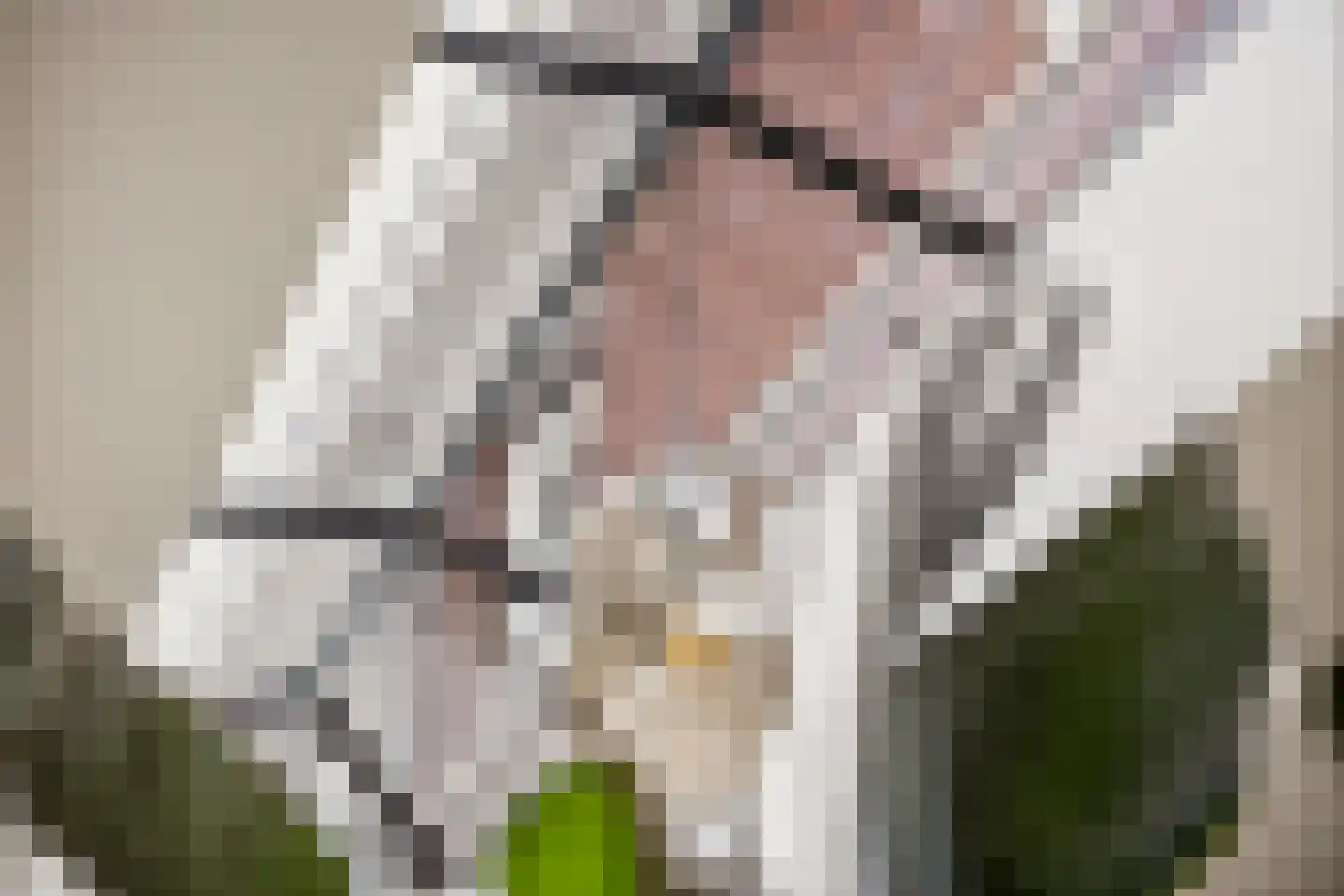Stier 23 Elst thumbnail 12