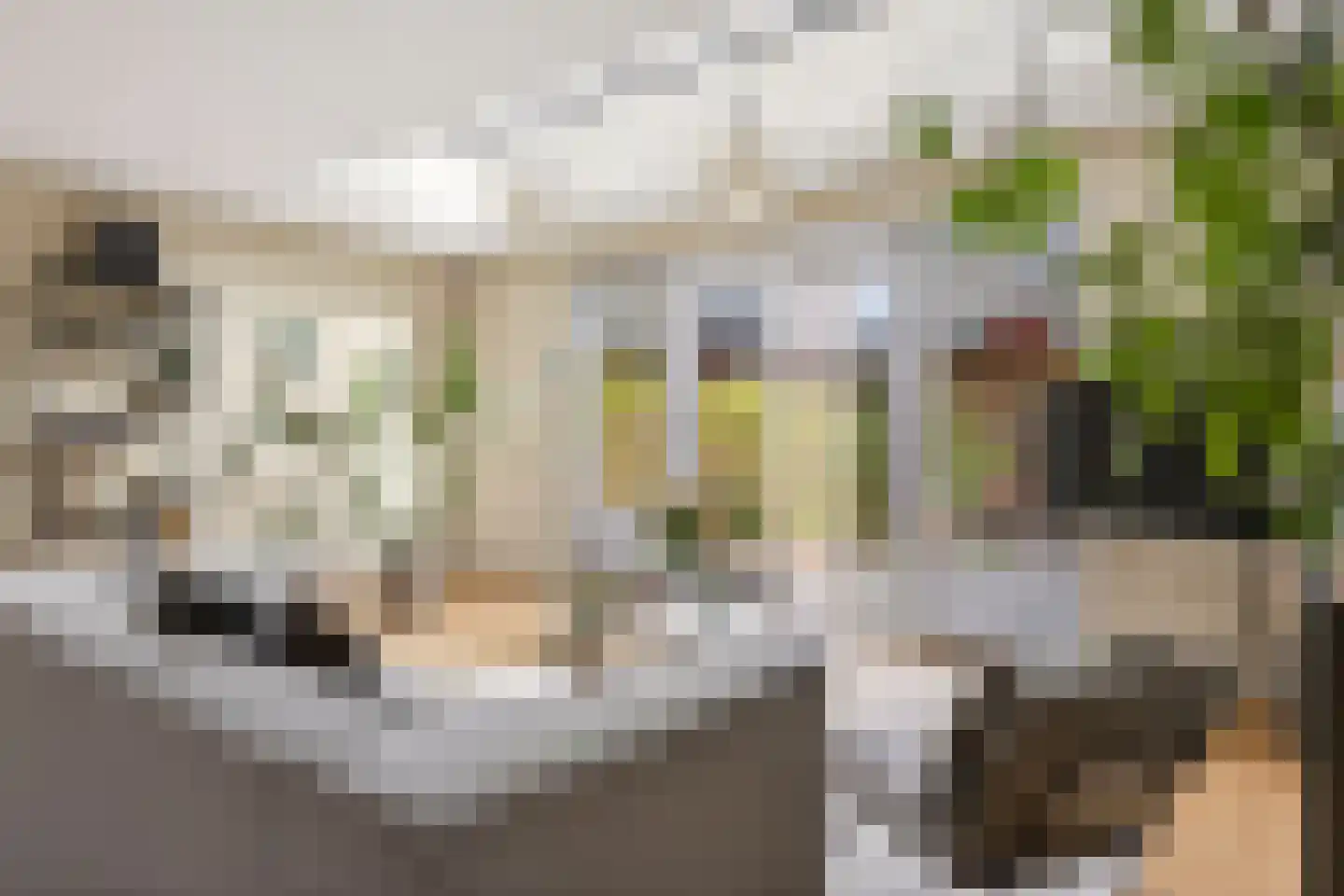 Stier 23 Elst thumbnail 13