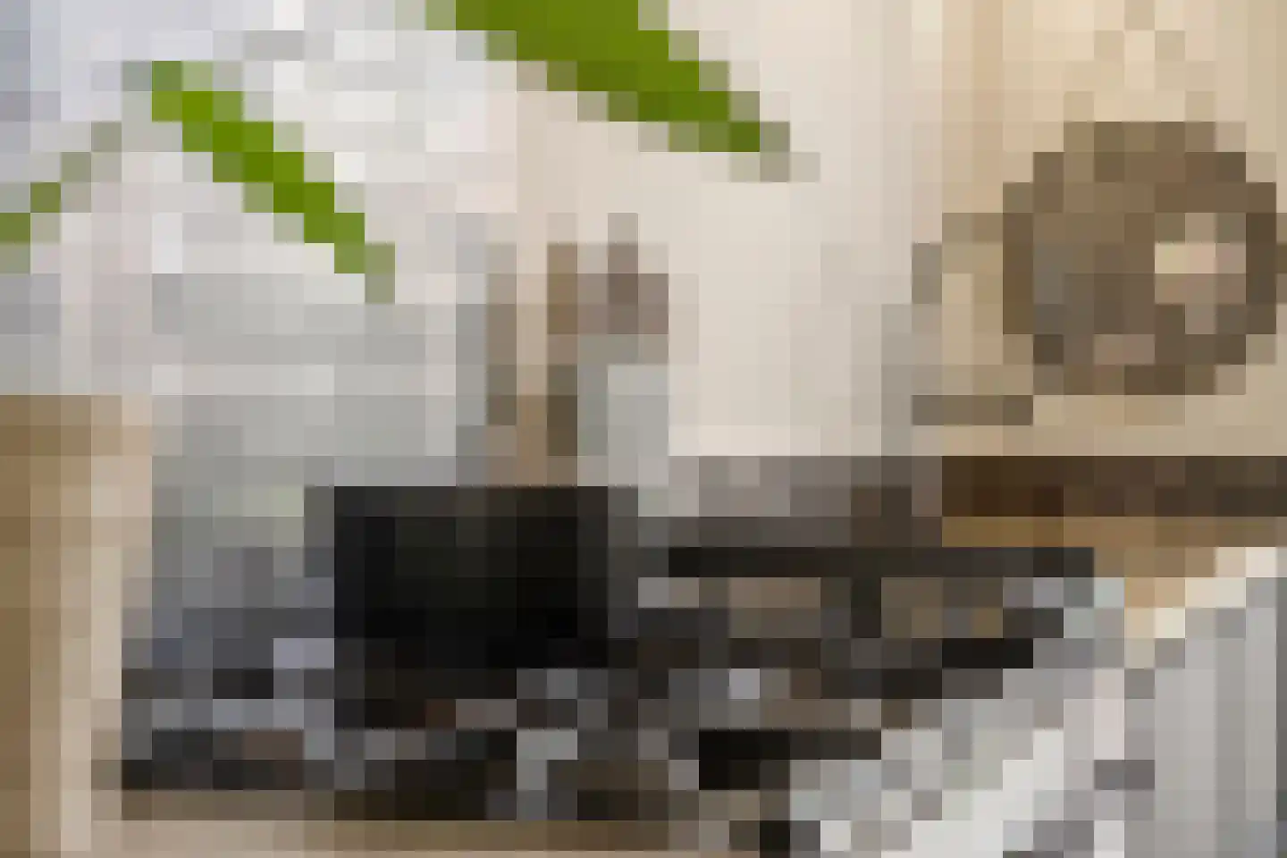 Stier 23 Elst thumbnail 20