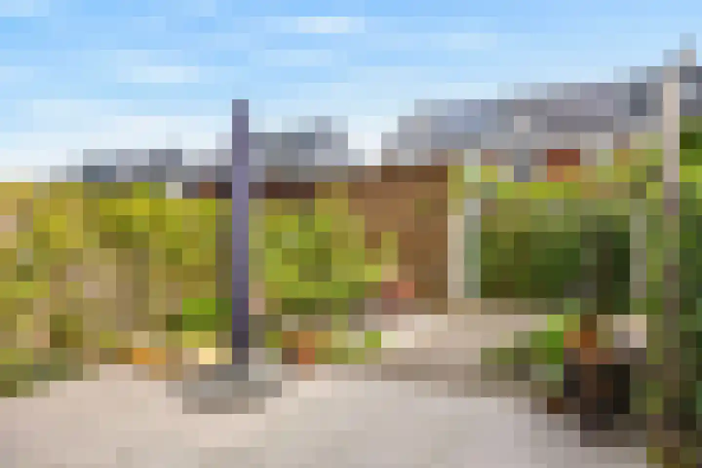 Stier 23 Elst thumbnail 22