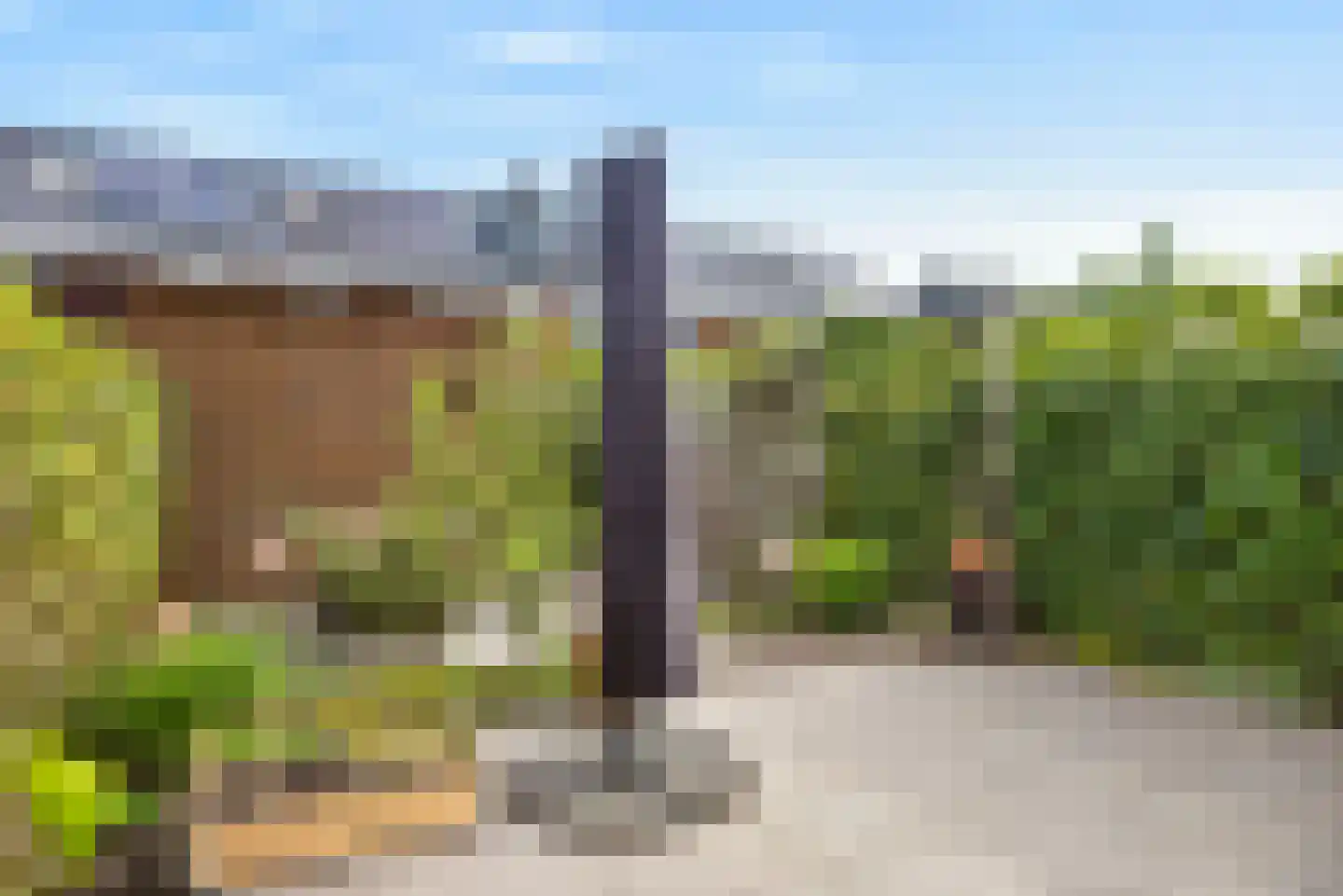 Stier 23 Elst thumbnail 23