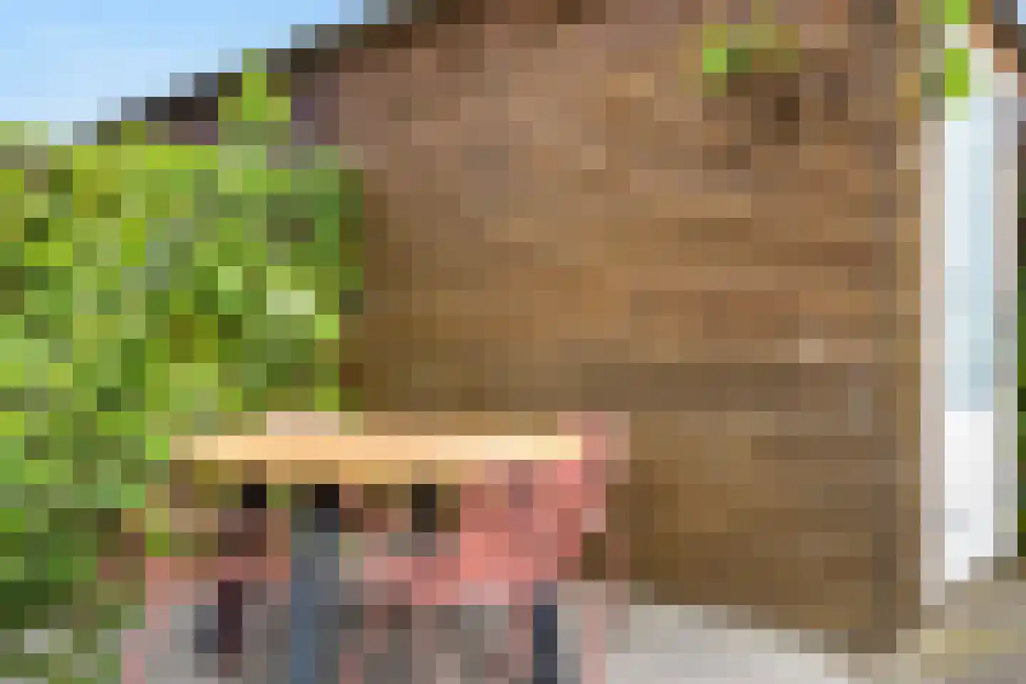 Stier 23 Elst thumbnail 24