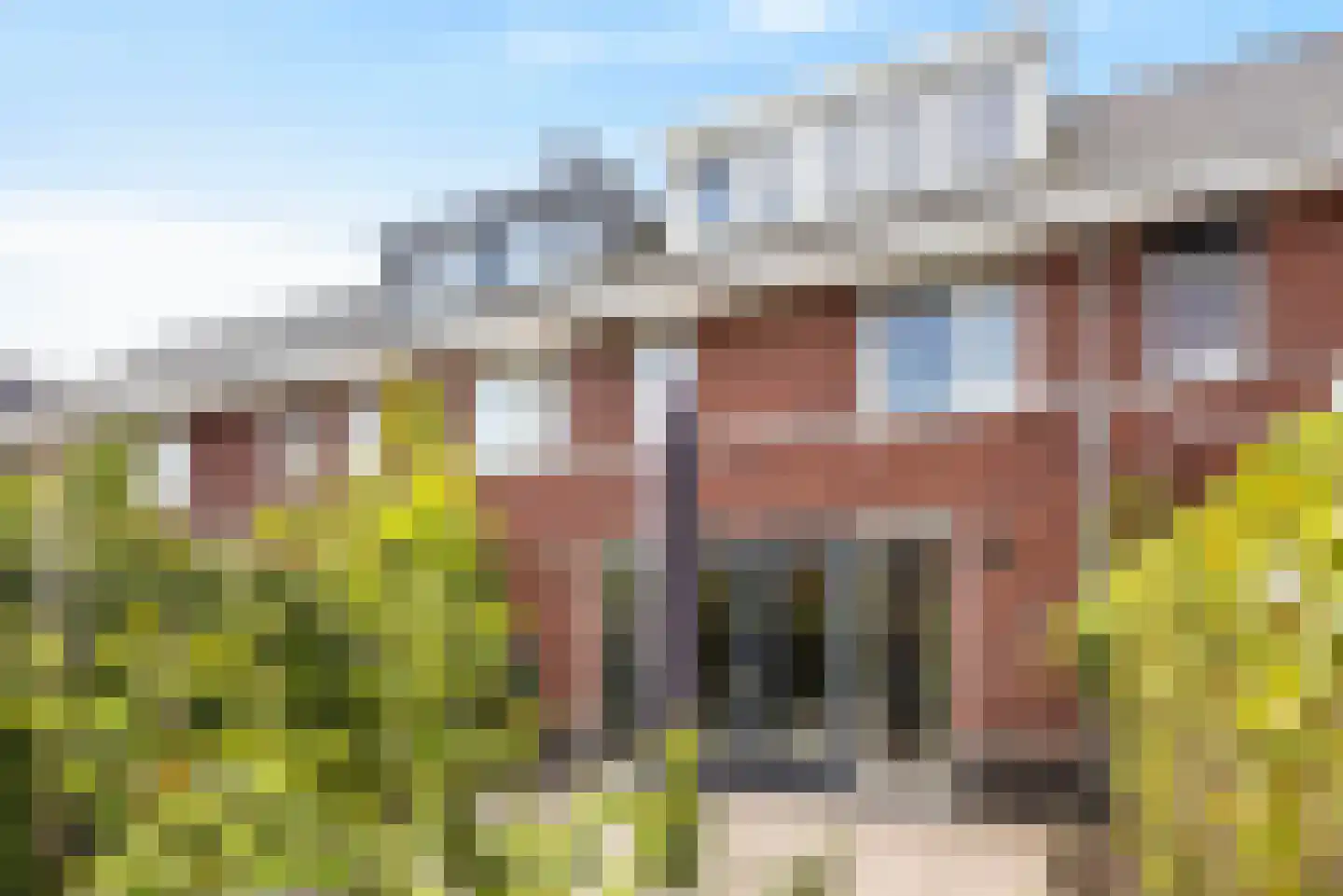 Stier 23 Elst thumbnail 26