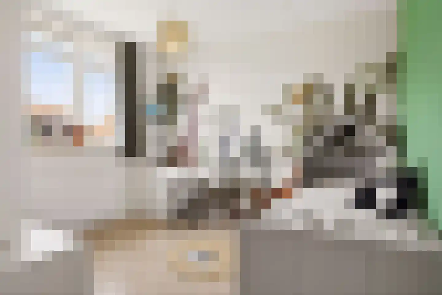 Stier 23 Elst thumbnail 31