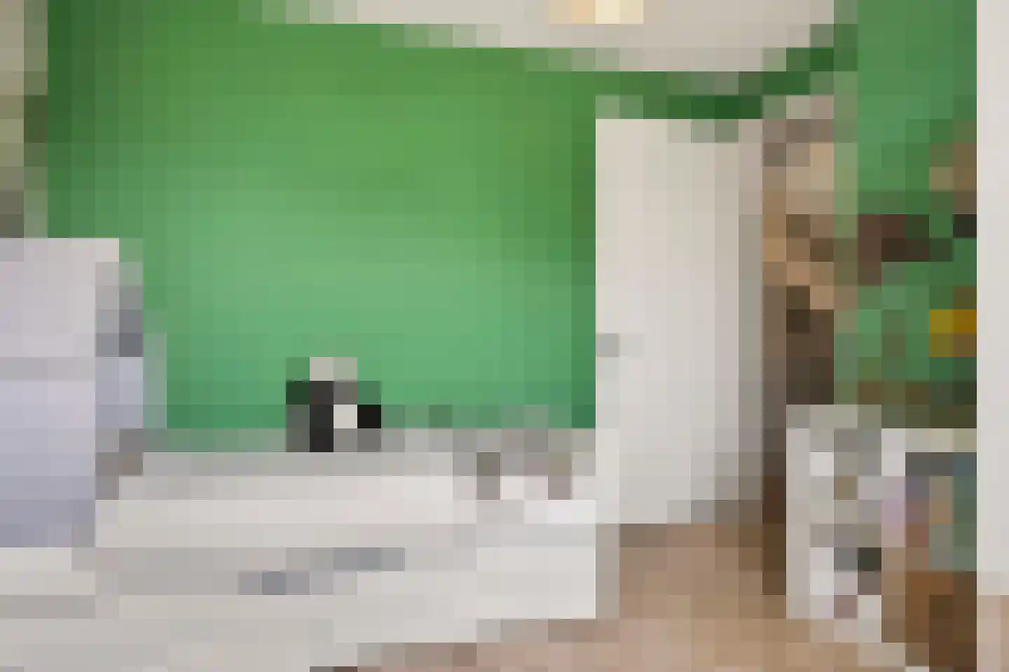 Stier 23 Elst thumbnail 32