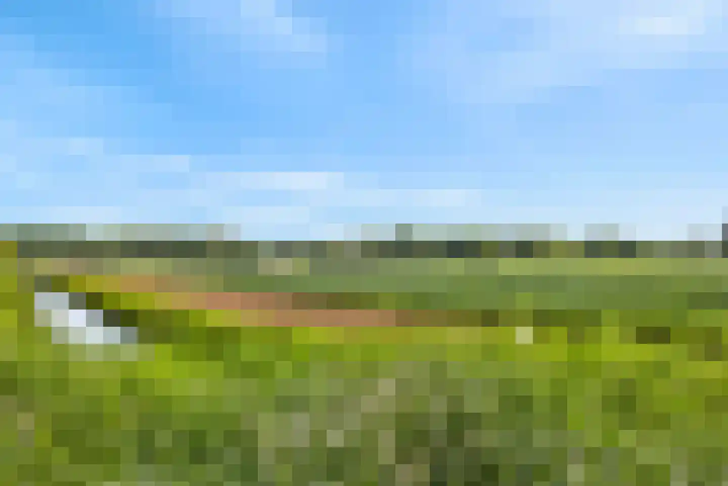 Stier 23 Elst thumbnail 41