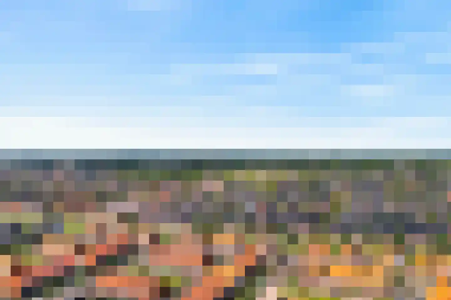 Stier 23 Elst thumbnail 42