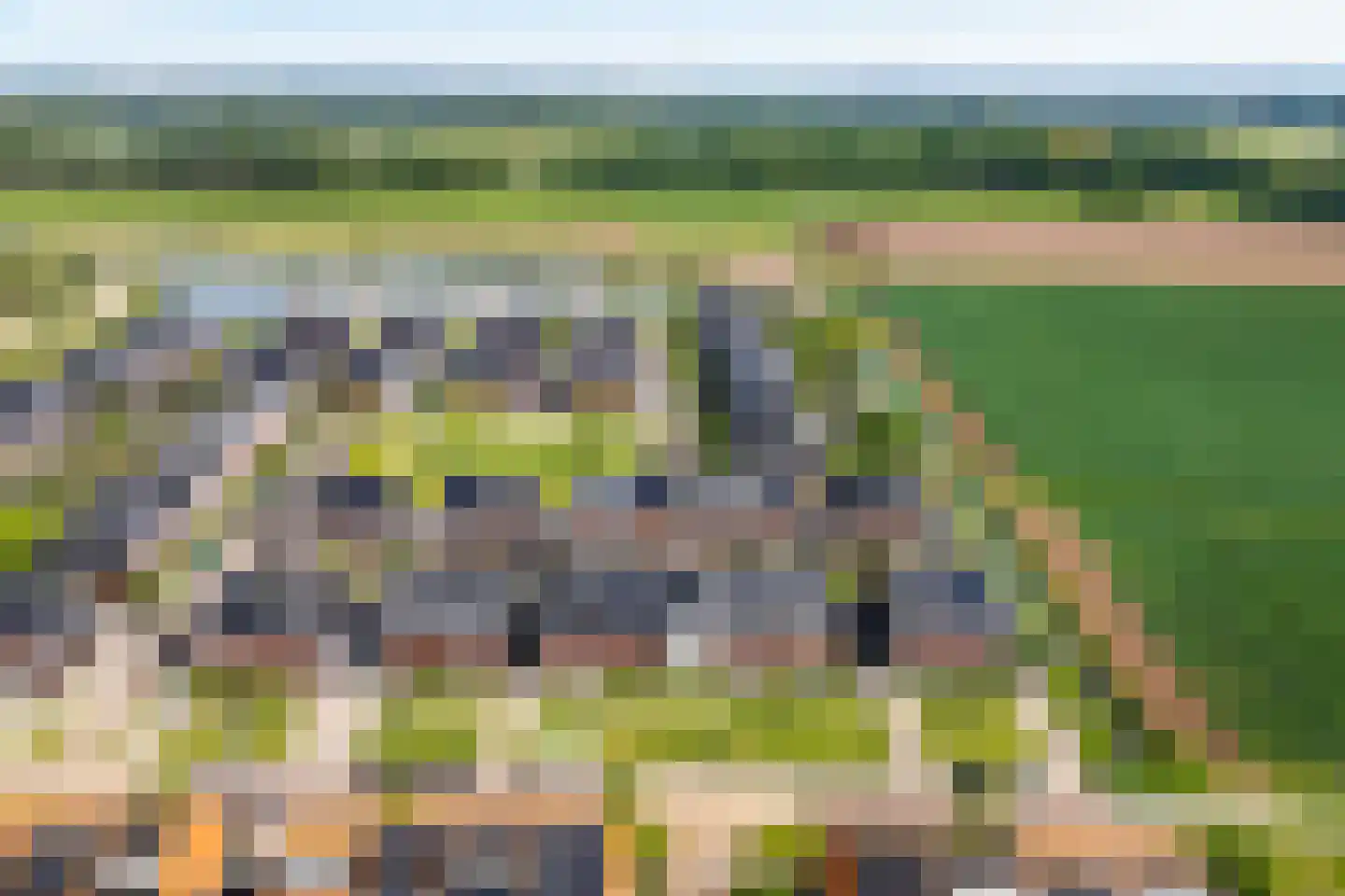 Stier 23 Elst thumbnail 44