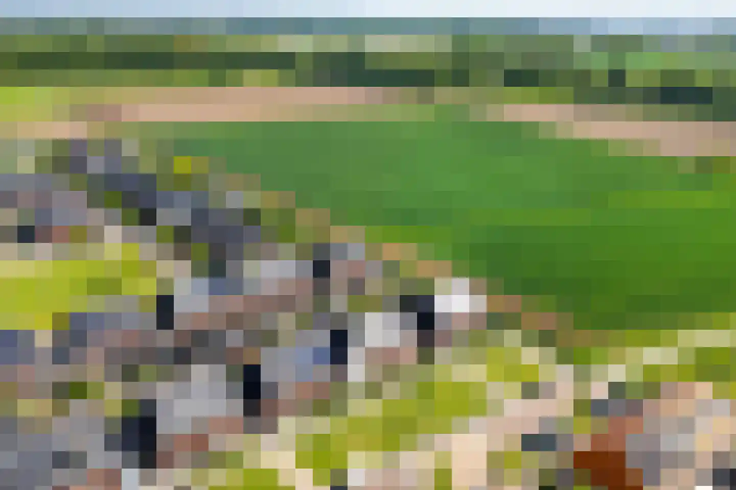 Stier 23 Elst thumbnail 45