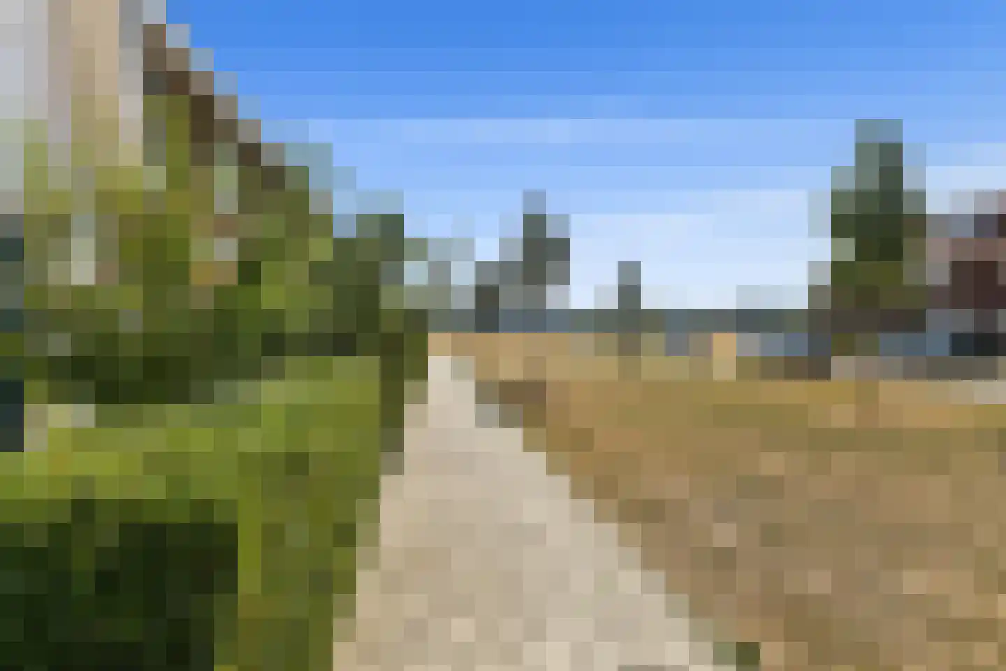 Stier 25 Elst thumbnail 10