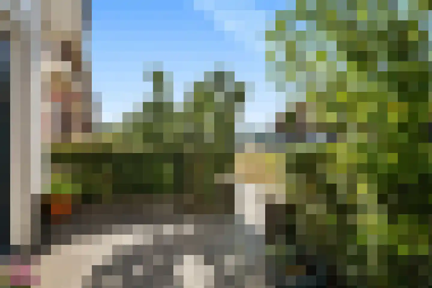 Stier 25 Elst thumbnail 12