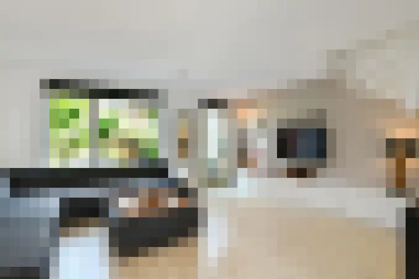 Stier 25 Elst thumbnail 15
