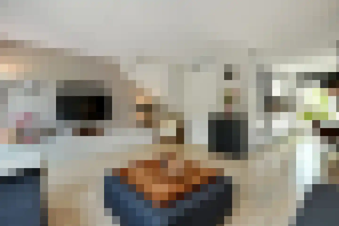 Stier 25 Elst thumbnail 18