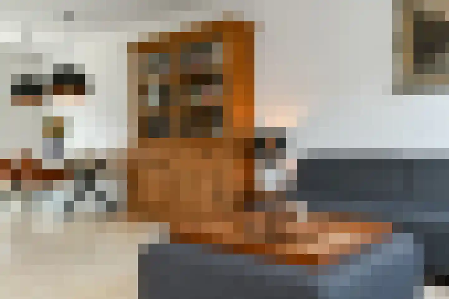 Stier 25 Elst thumbnail 19