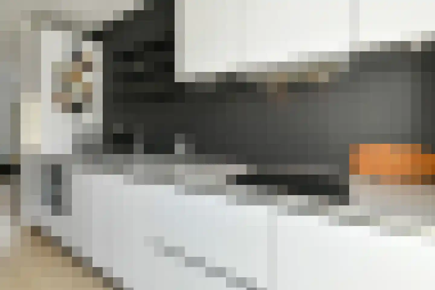 Stier 25 Elst thumbnail 22