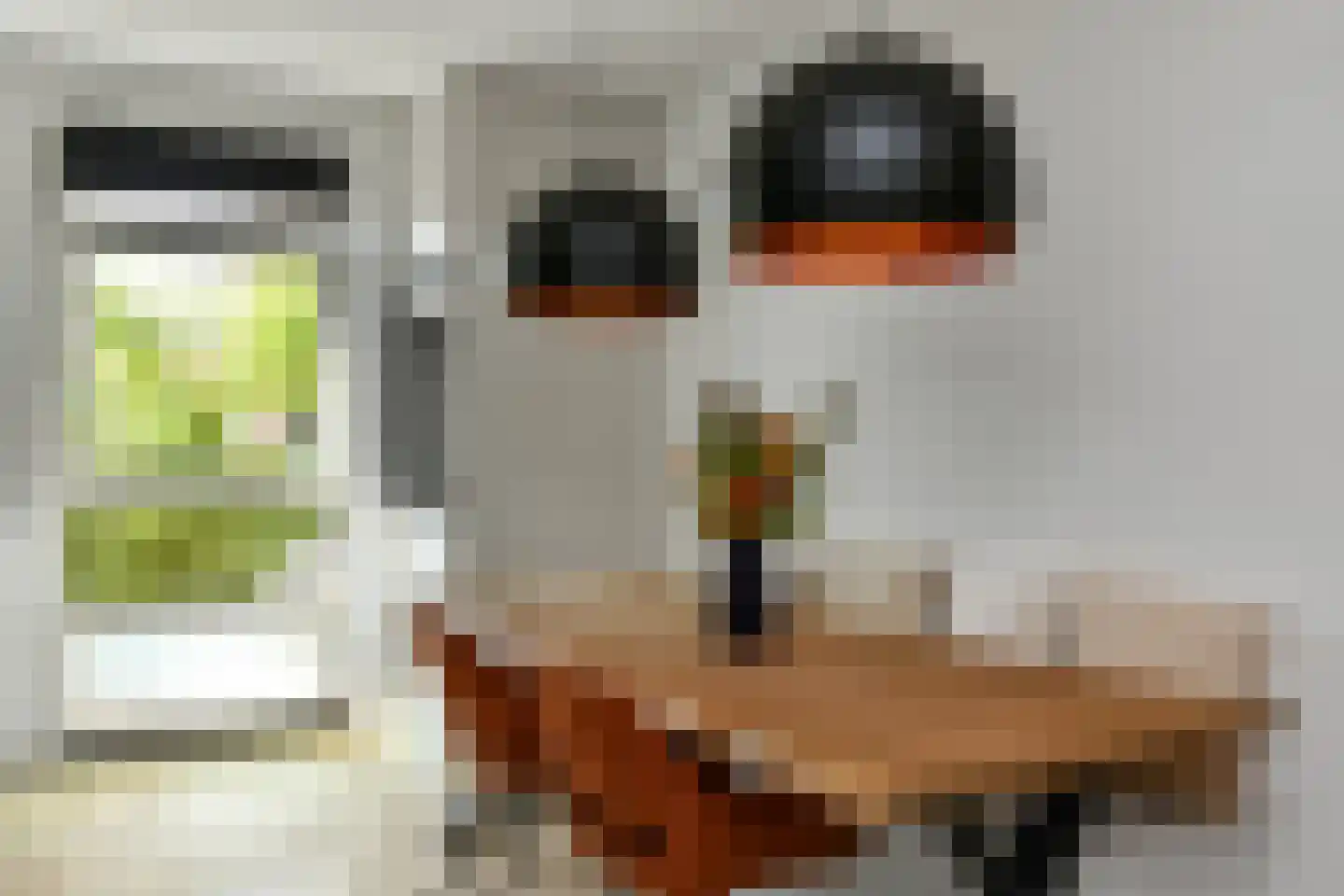 Stier 25 Elst thumbnail 23