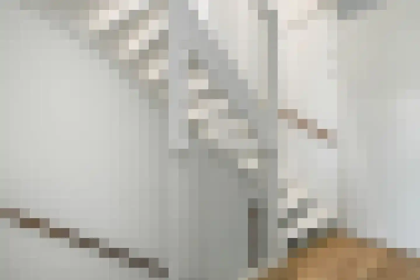 Stier 25 Elst thumbnail 26