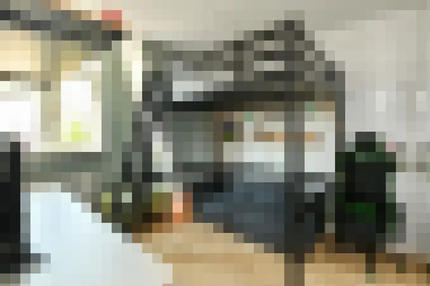 Stier 25 Elst thumbnail 27