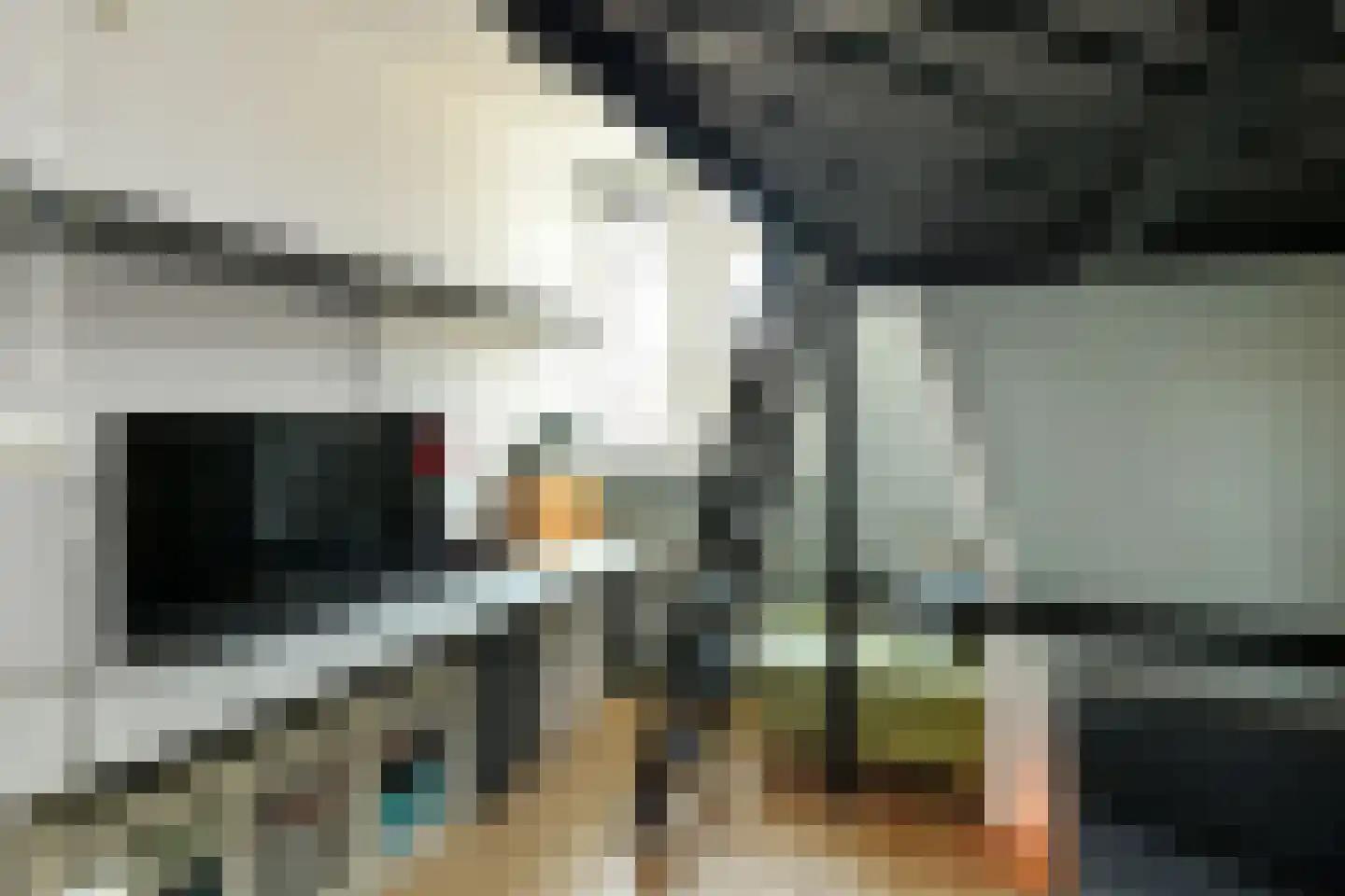 Stier 25 Elst thumbnail 28