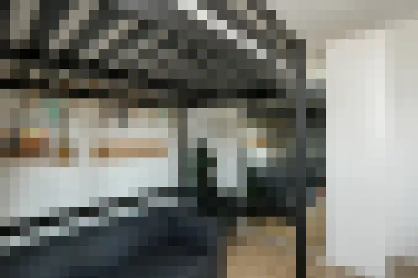 Stier 25 Elst thumbnail 29