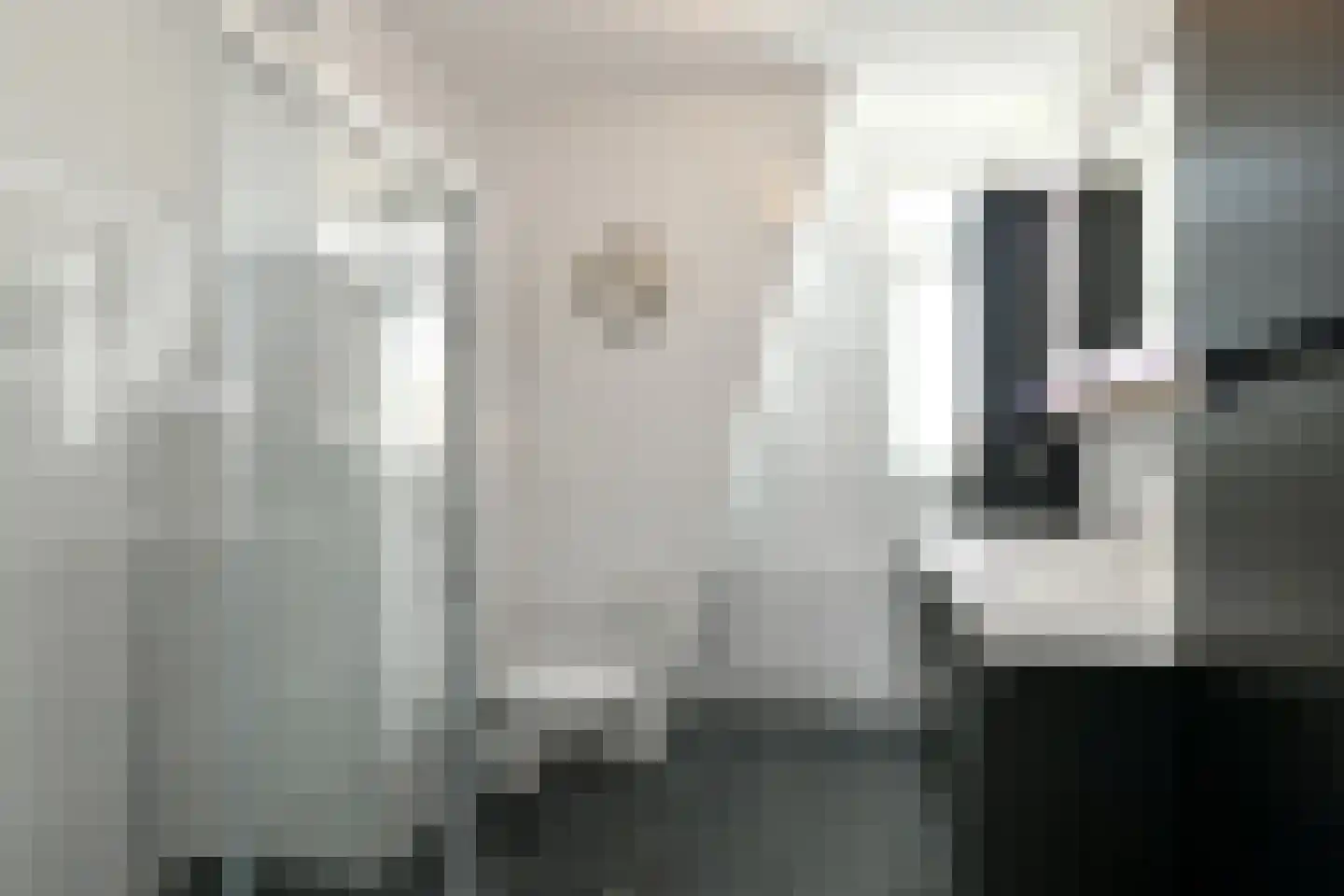 Stier 25 Elst thumbnail 34