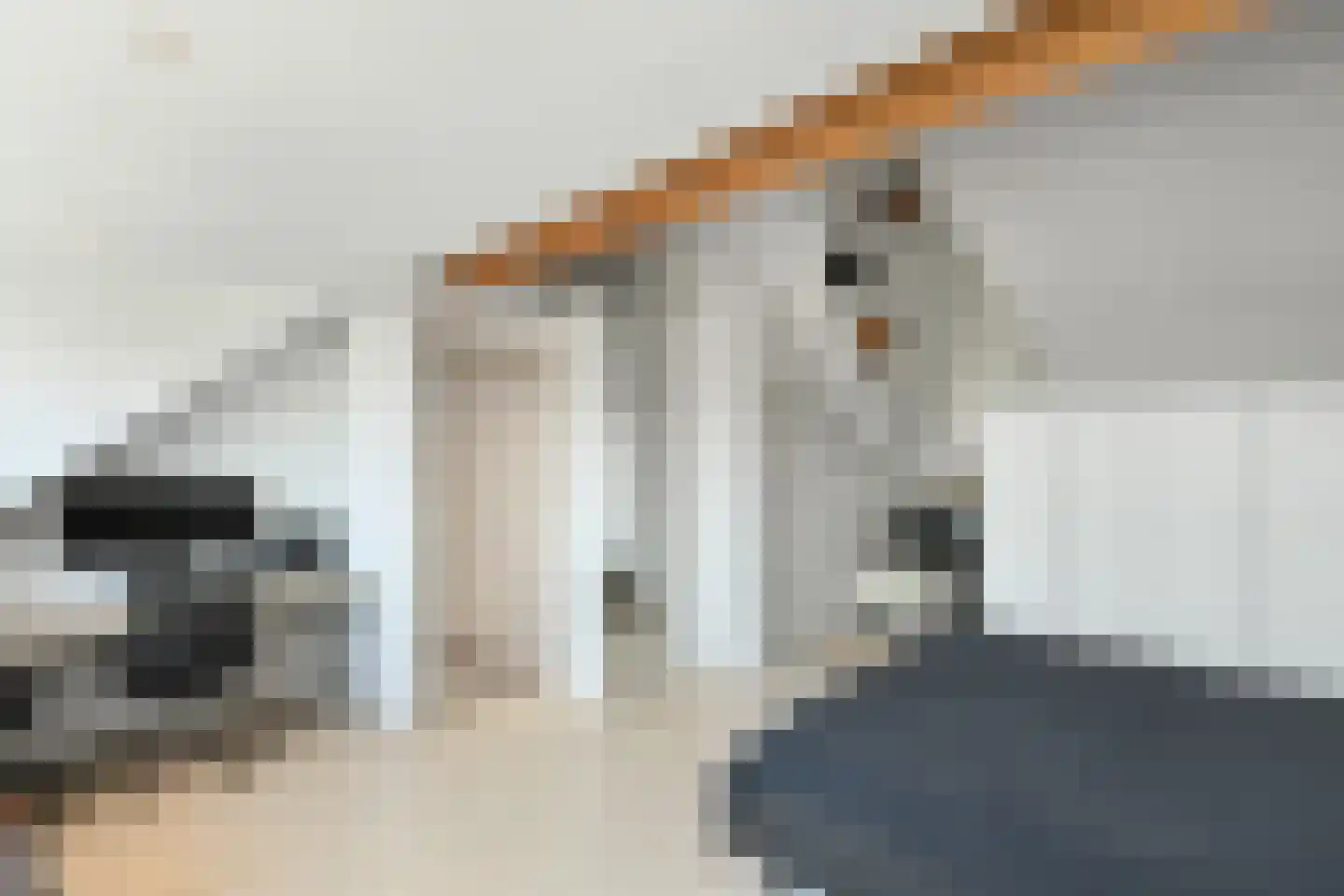 Stier 25 Elst thumbnail 38