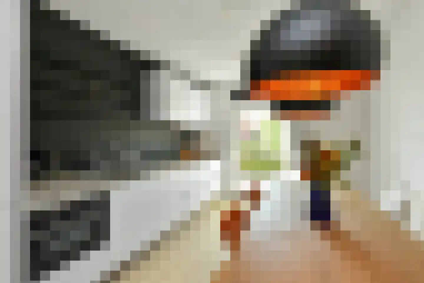 Stier 25 Elst thumbnail 4