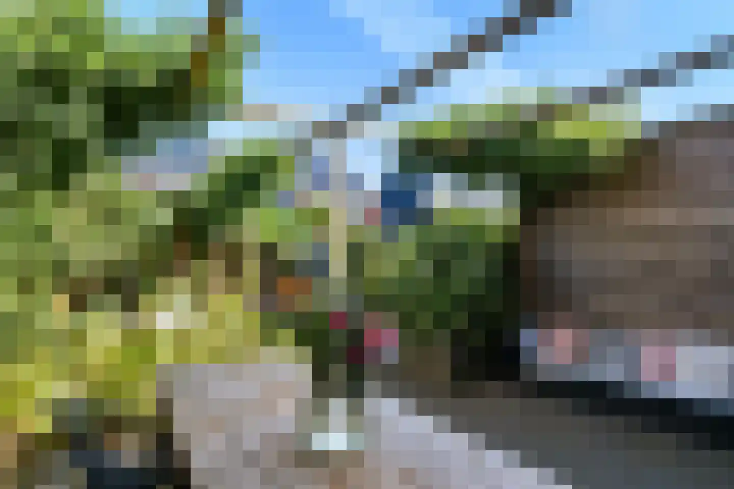 Stier 25 Elst thumbnail 45