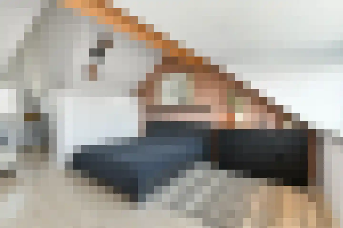 Stier 25 Elst thumbnail 5