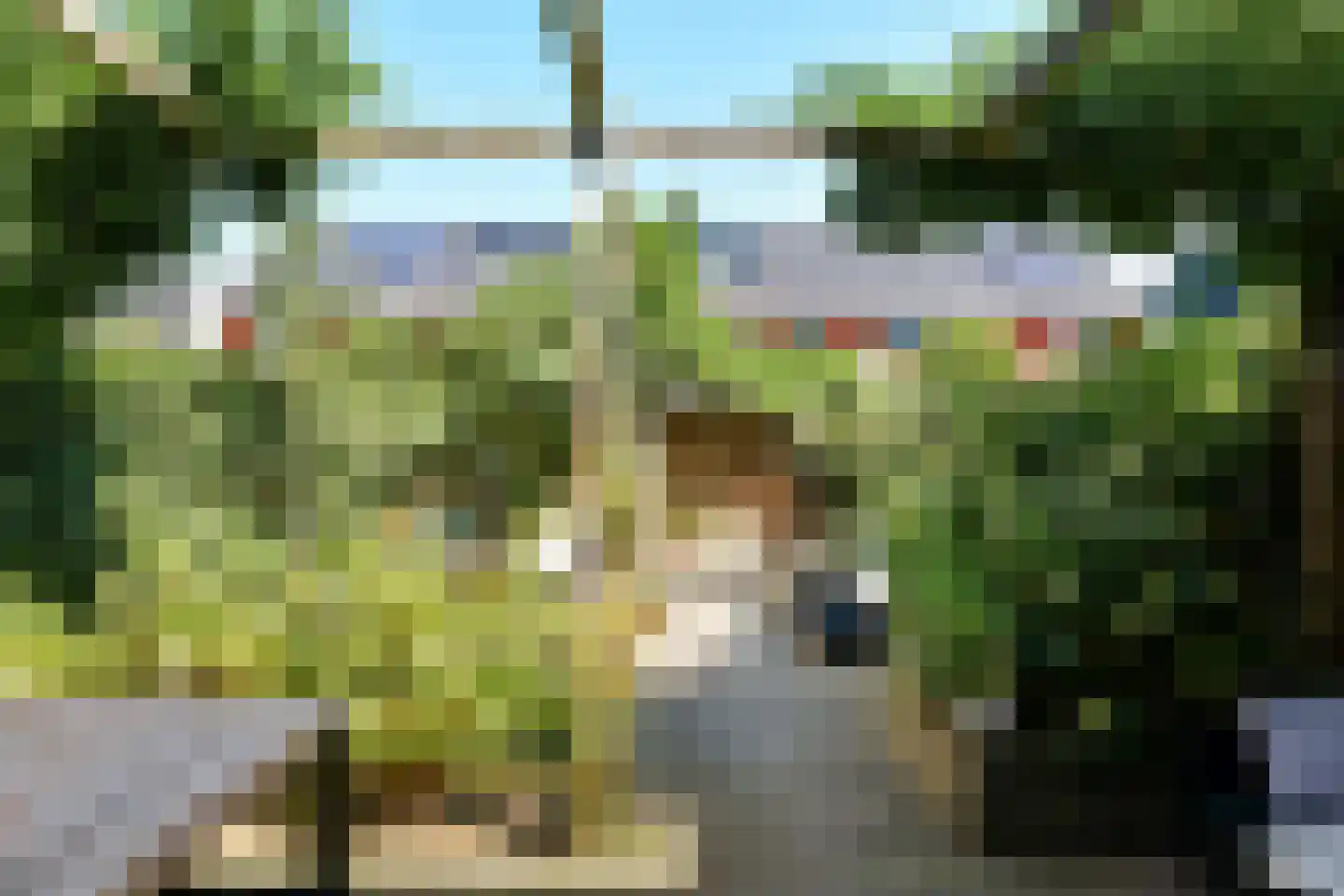 Stier 25 Elst thumbnail 50