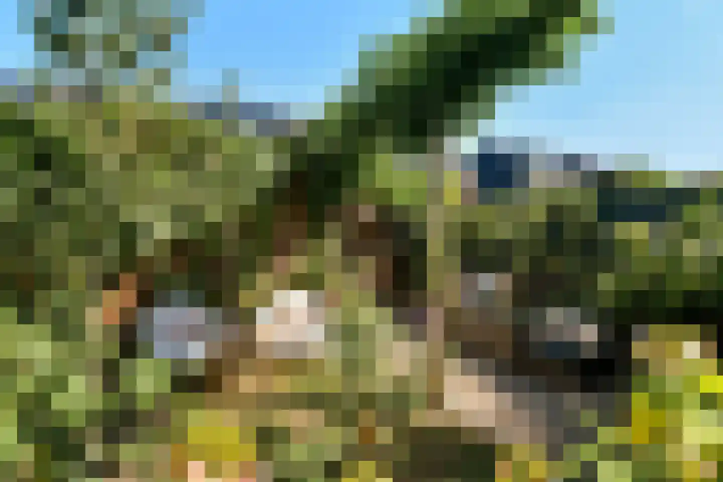 Stier 25 Elst thumbnail 52