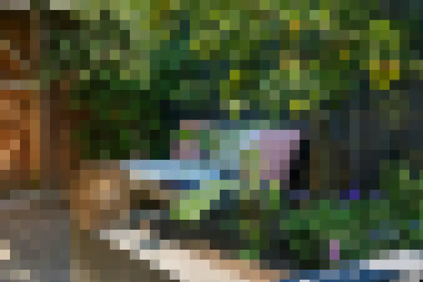 Stier 25 Elst thumbnail 53