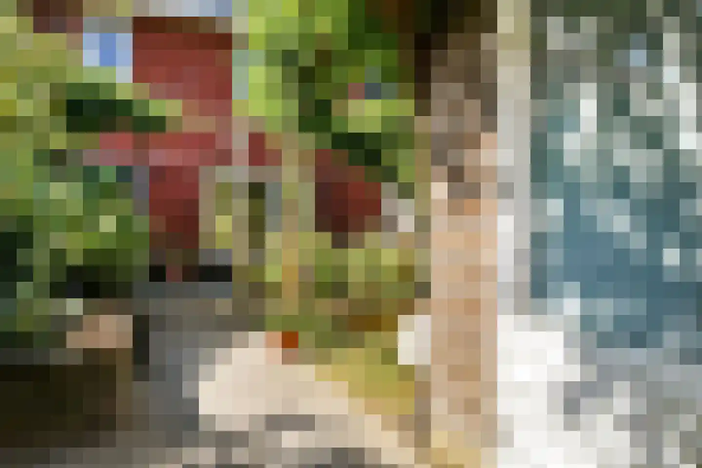 Stier 25 Elst thumbnail 54