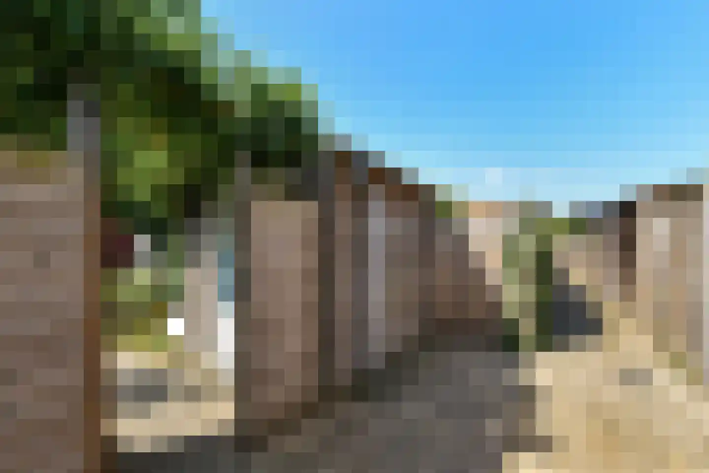 Stier 25 Elst thumbnail 55