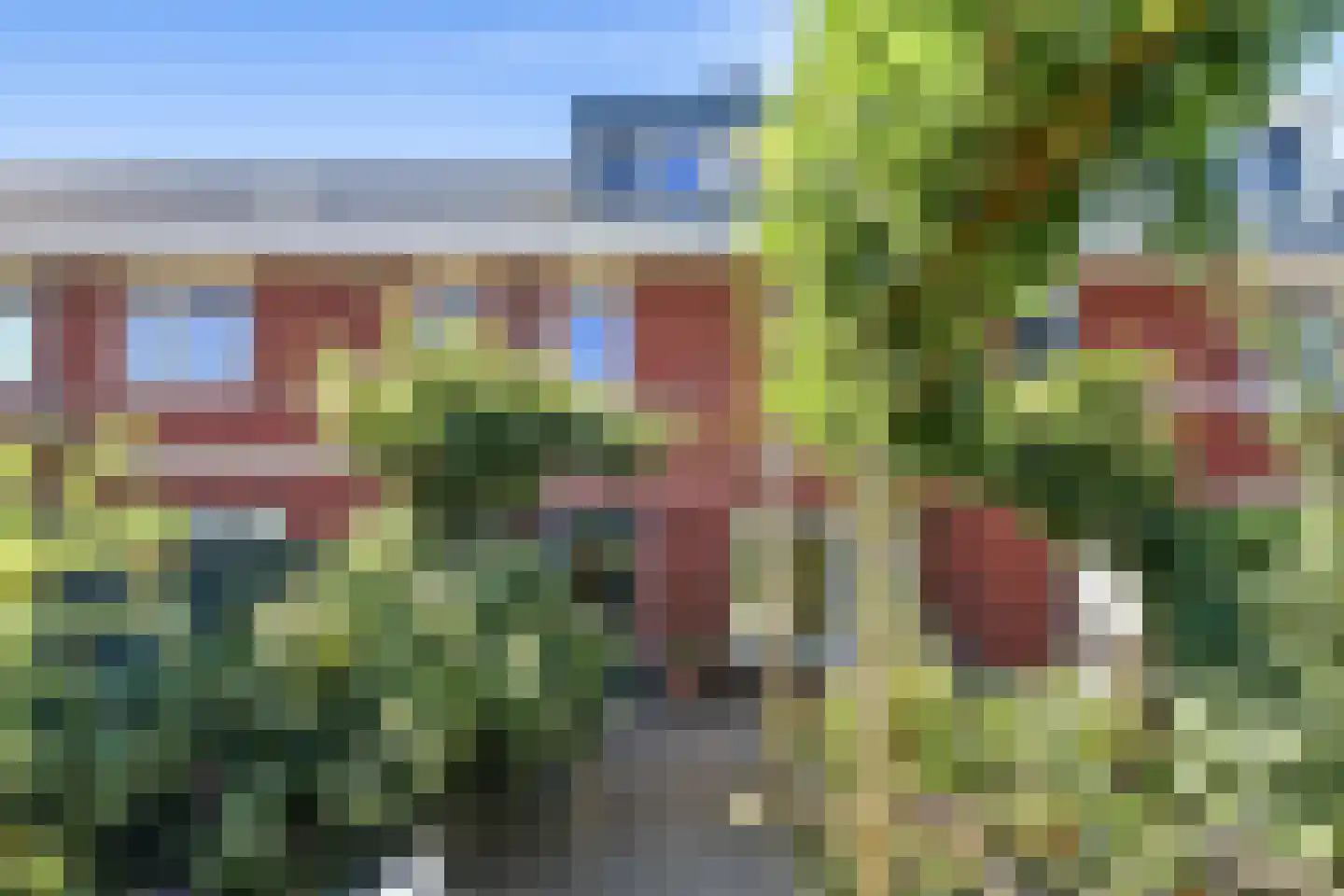 Stier 25 Elst thumbnail 57