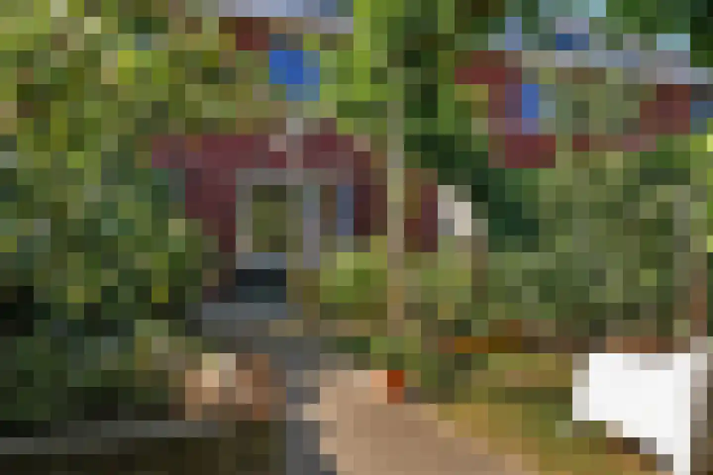 Stier 25 Elst thumbnail 6